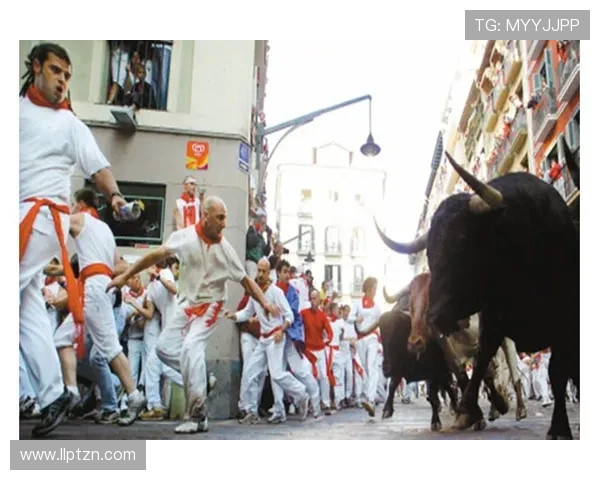 费尔明谈休闲生活：从寿司到《越狱》我的最爱与生活点滴